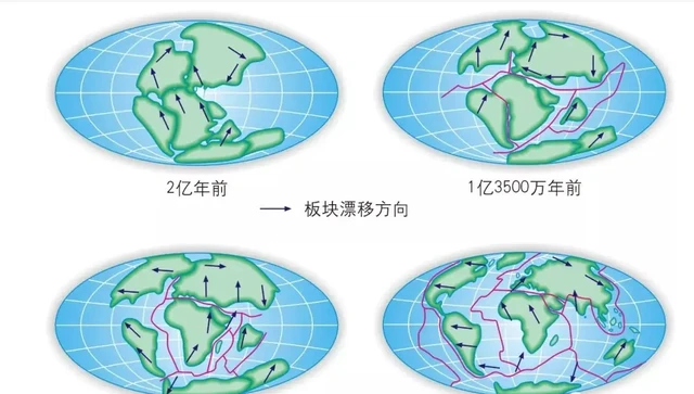 漂移的大陆_大陆漂移说动画演示_大陆漂移说的基本内容