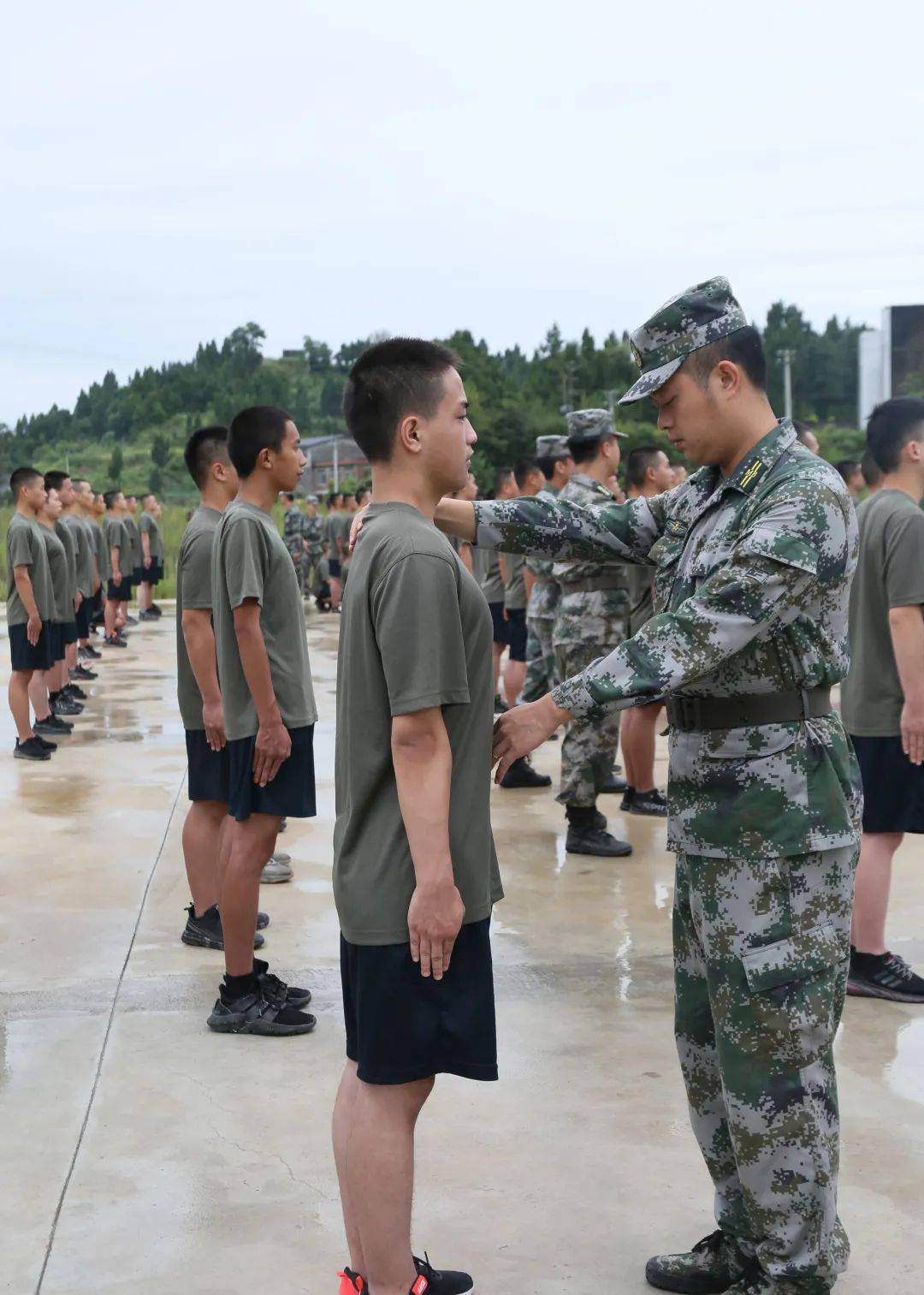 役前训练被刷下来的需要填什么_役前训练会刷多少人_役前训练刷人按照什么标准