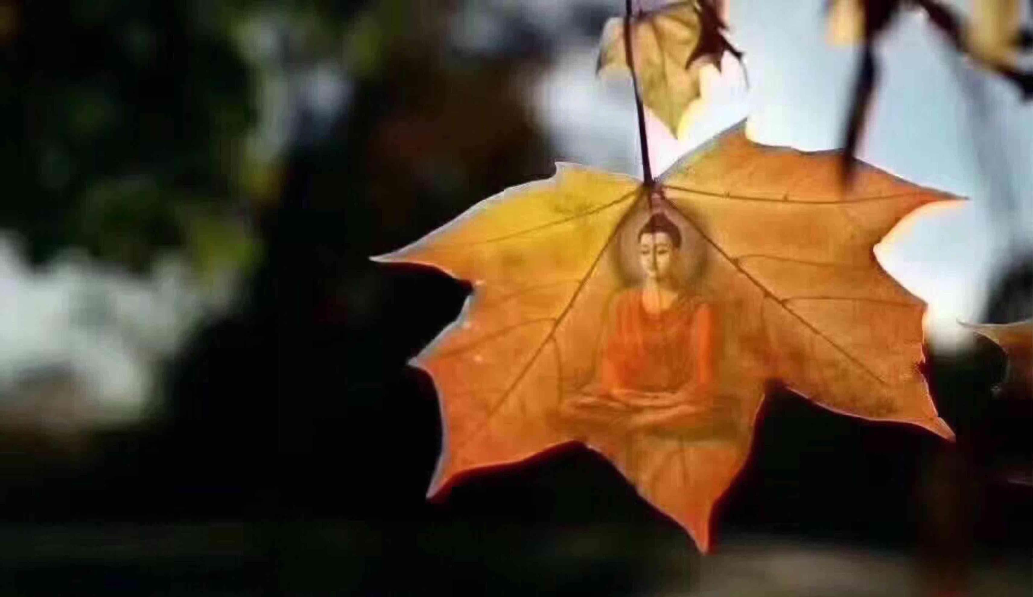 人心换钱要有等待的句子_人心换得了人心吗_等我有钱了我一定要换人心