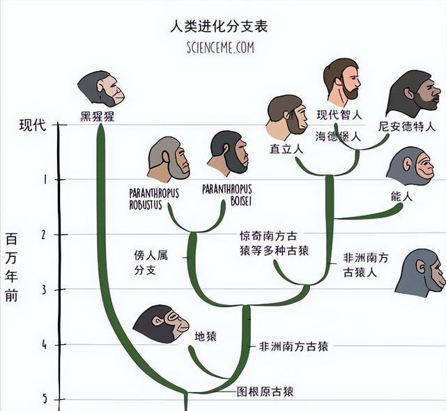 100亿年后的人类会死吗_人死后100年会复活吗_人死100年后还会回来