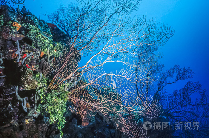 海底世界答案三年级上_木海三年酒_奔驰新s级底配