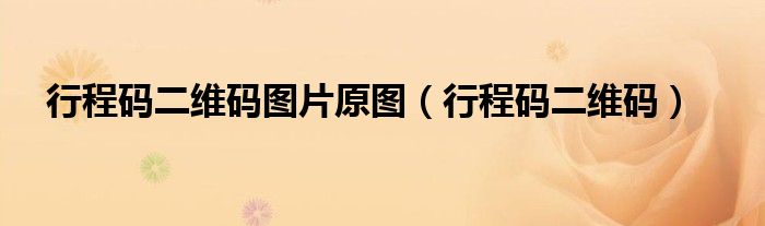 独享GTA5启动码，勇者专属！