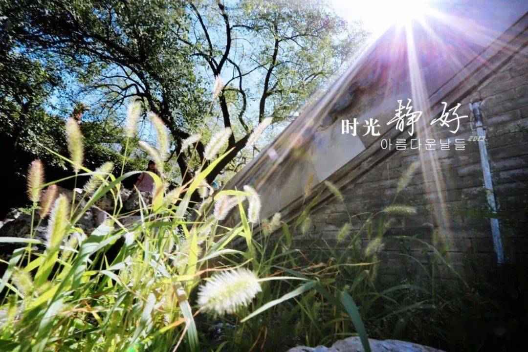 宝石玛瑙猎豹是消耗_电器是消耗的装置_有些东西是消耗殆尽