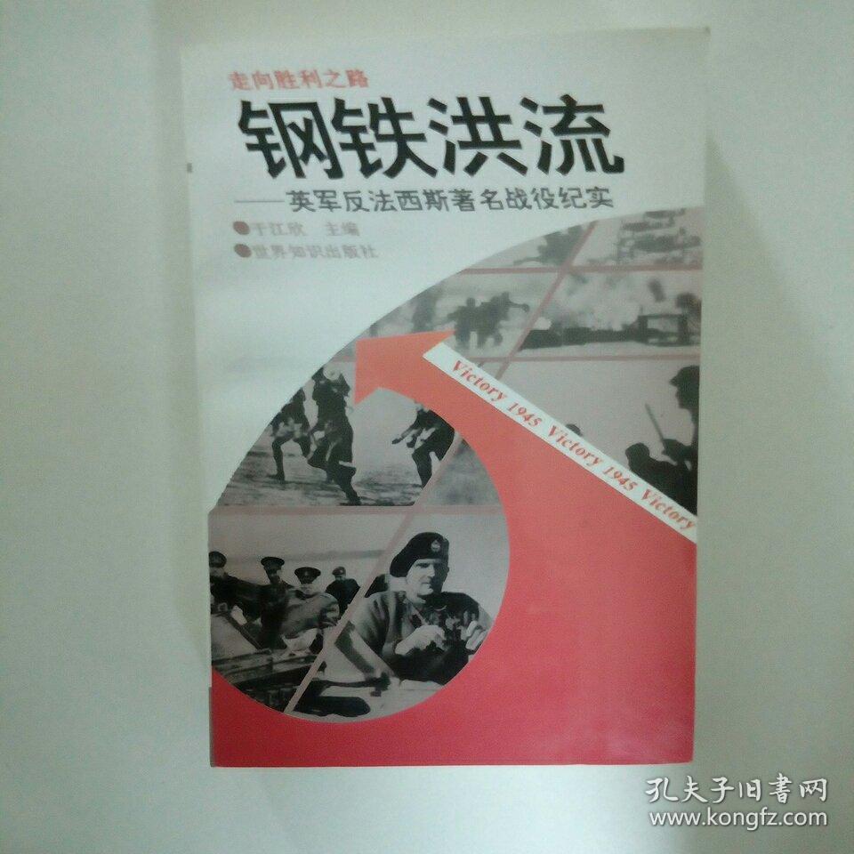 战役版钢铁洪流_钢铁洪流进行曲战旗方队_钢铁洪流战术有用吗