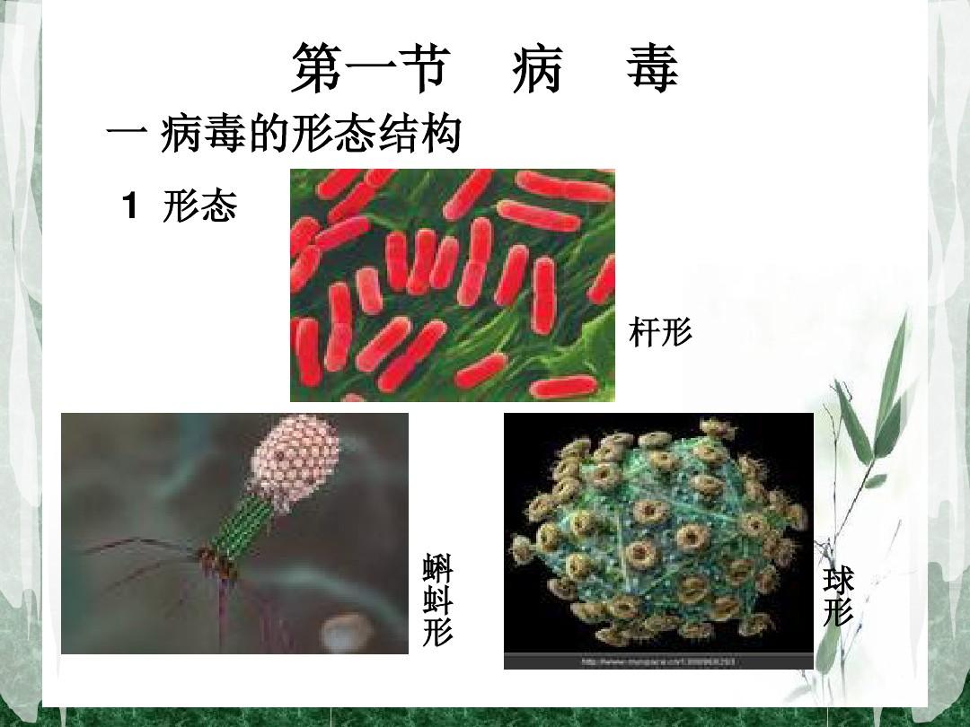 刷努力值_没狗圈没病毒刷努力值_攻击努力值刷谁