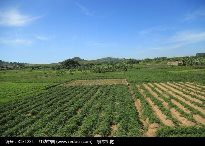 梦幻西游新神兽超级土地_超级土地公 新技能_冒险岛超级技能被动技能