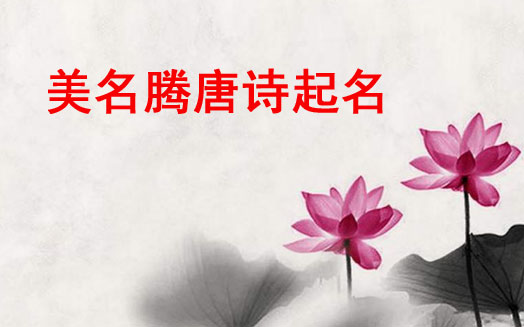 免费100分的好名字