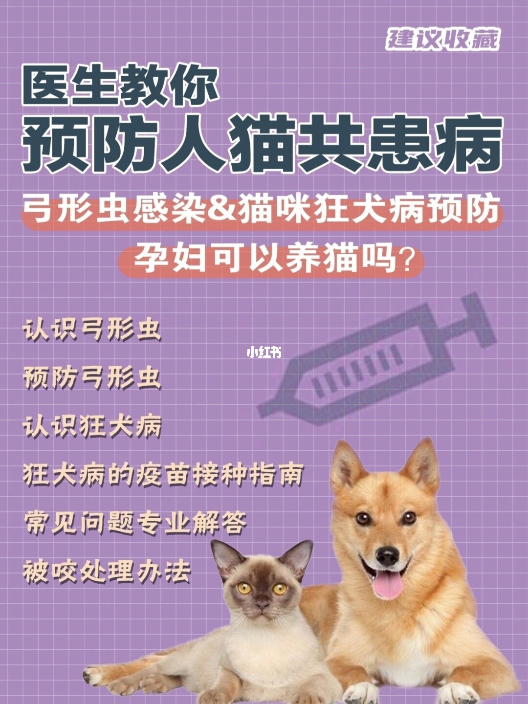 新开宠物店没生意怎么办_想开宠物店但是没经验_没有经验能开宠物店