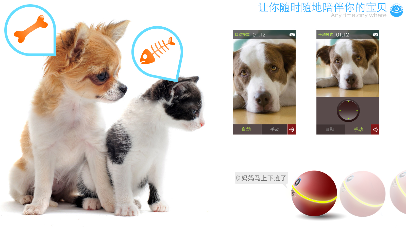 没有经验能开宠物店_想开宠物店但是没经验_新开宠物店没生意怎么办
