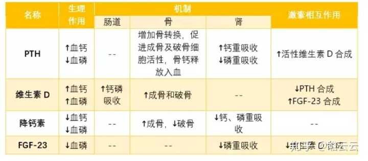 蒙牛纯牛奶营养成分表_扇子骨有什么营养成分_香蕉片营养成分表