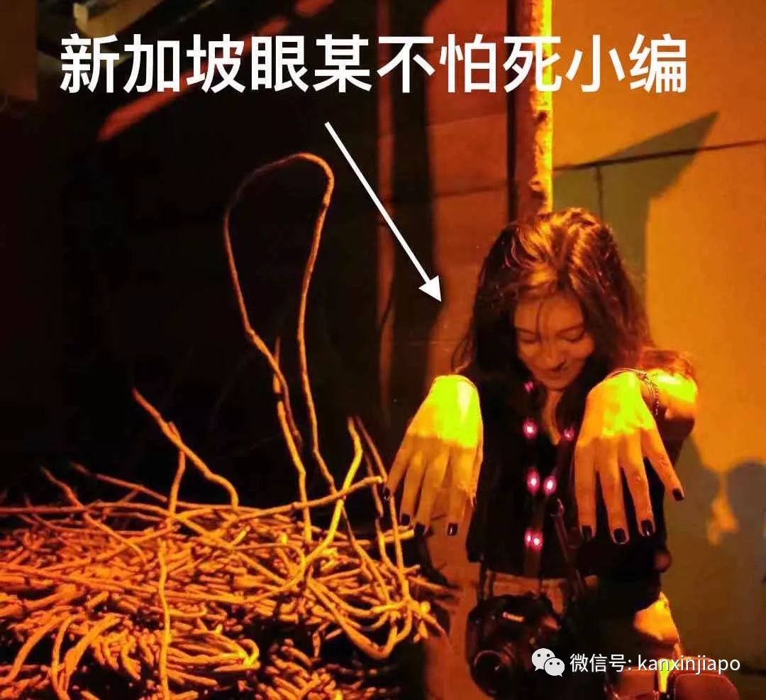 泰国下降头诅咒有用吗_泰国诅咒下蛊_泰国下降头是什么意思