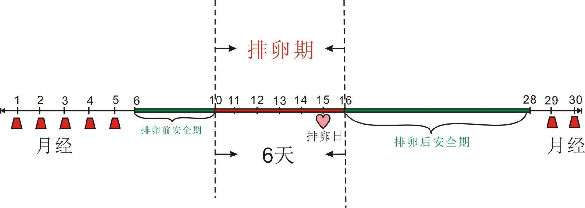 女性安全期是什么时候计算器_女性安全期计算器下载_如果计算女性安全期