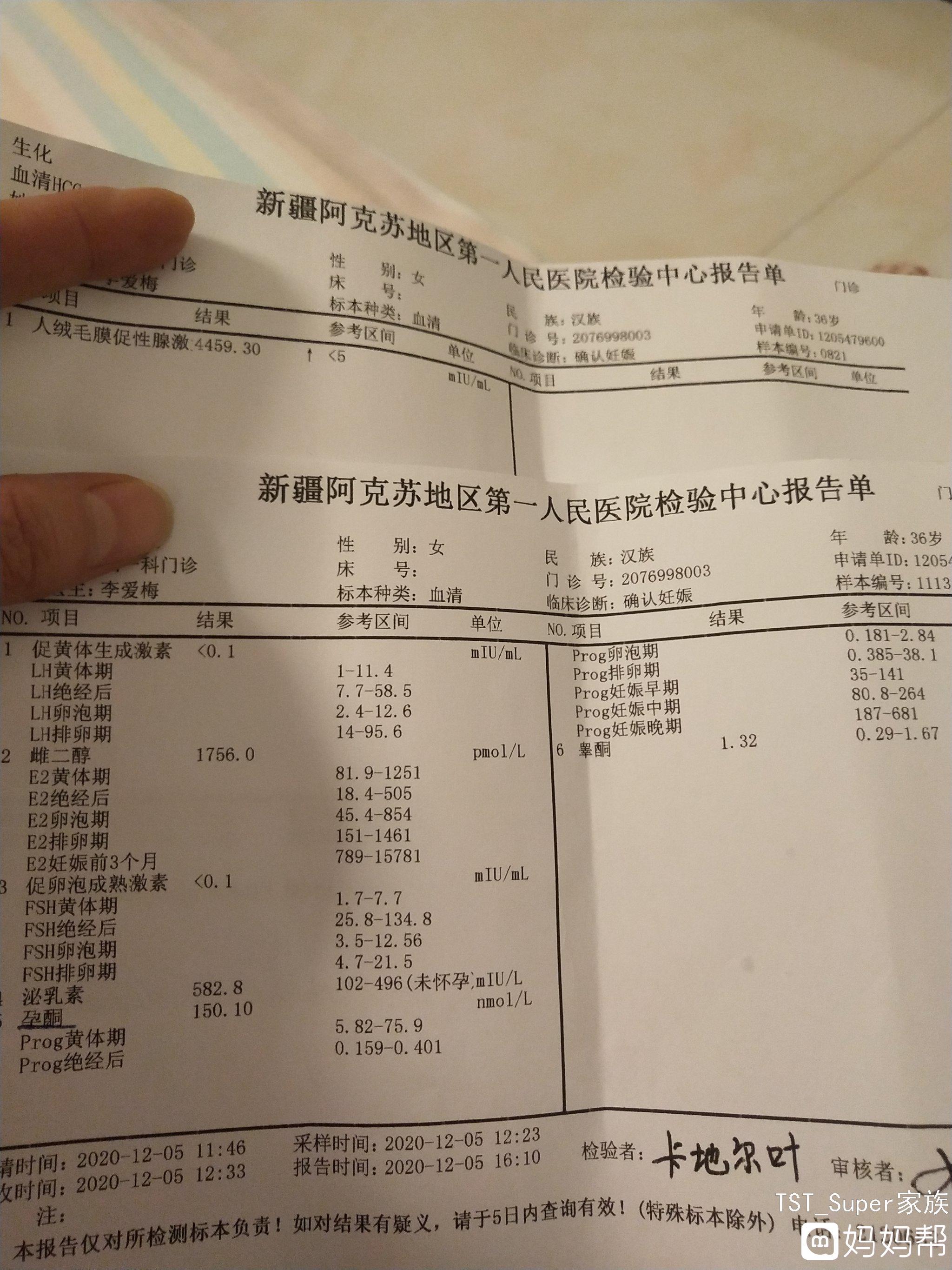 体育养生功前热身术_真言术触为什么没人用_术前四项几天了还没有
