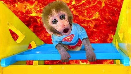 疯狂冒险！猴子模拟器带你化身猴子玩乐园