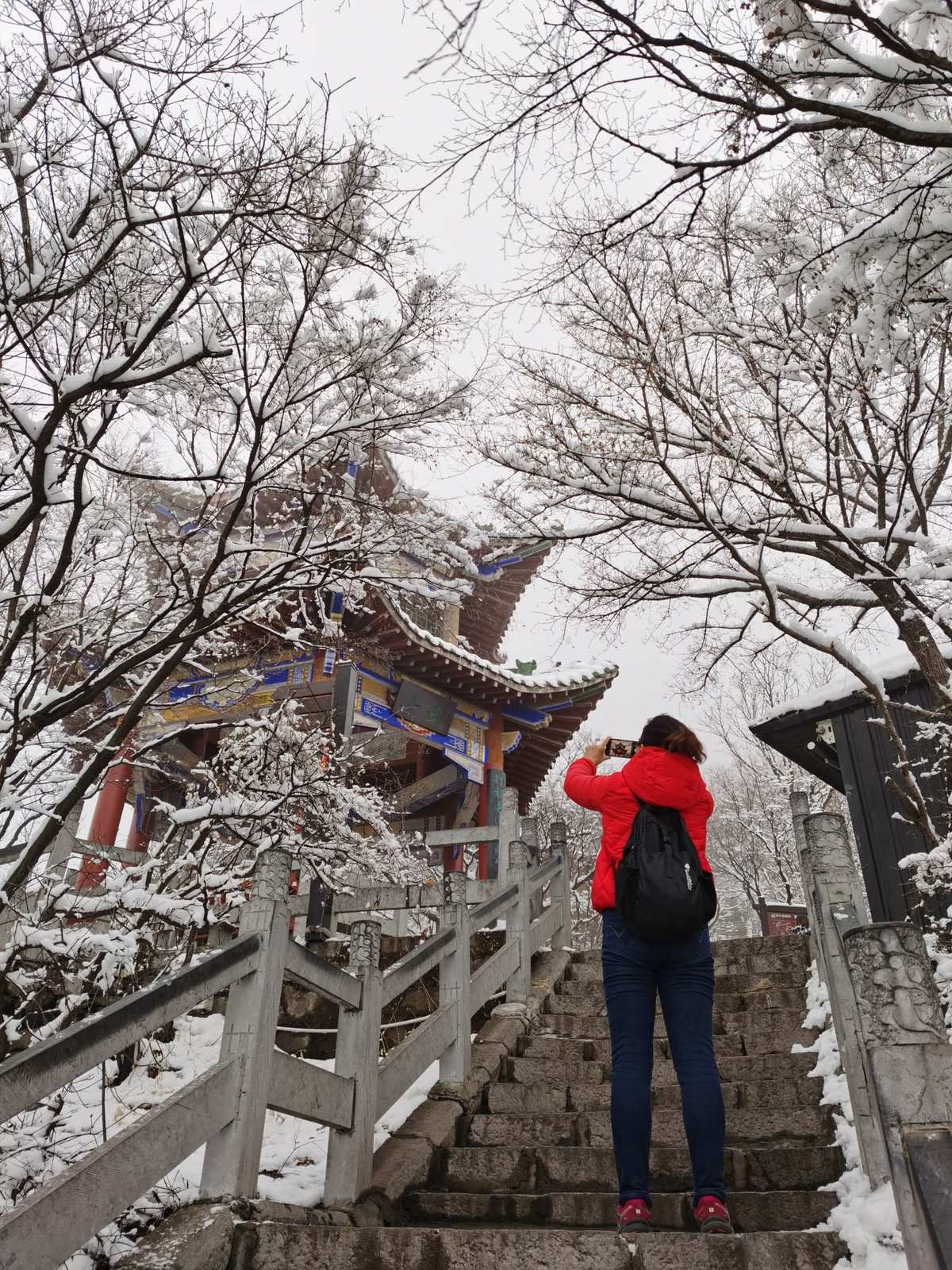 冷冽谷的舞娘能招npc吗_冷冽谷的舞娘弱什么属性_冷冽谷的舞娘