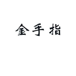 金手指是什么_心金金手指