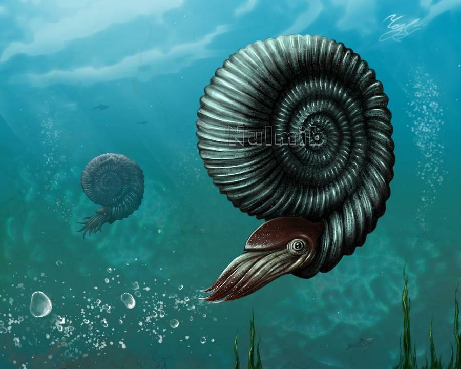 海之王第二季：深海探秘惊险连连