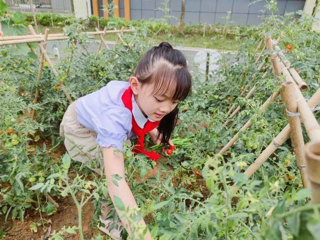 农场经营范围_农场经营类游戏_经营农场