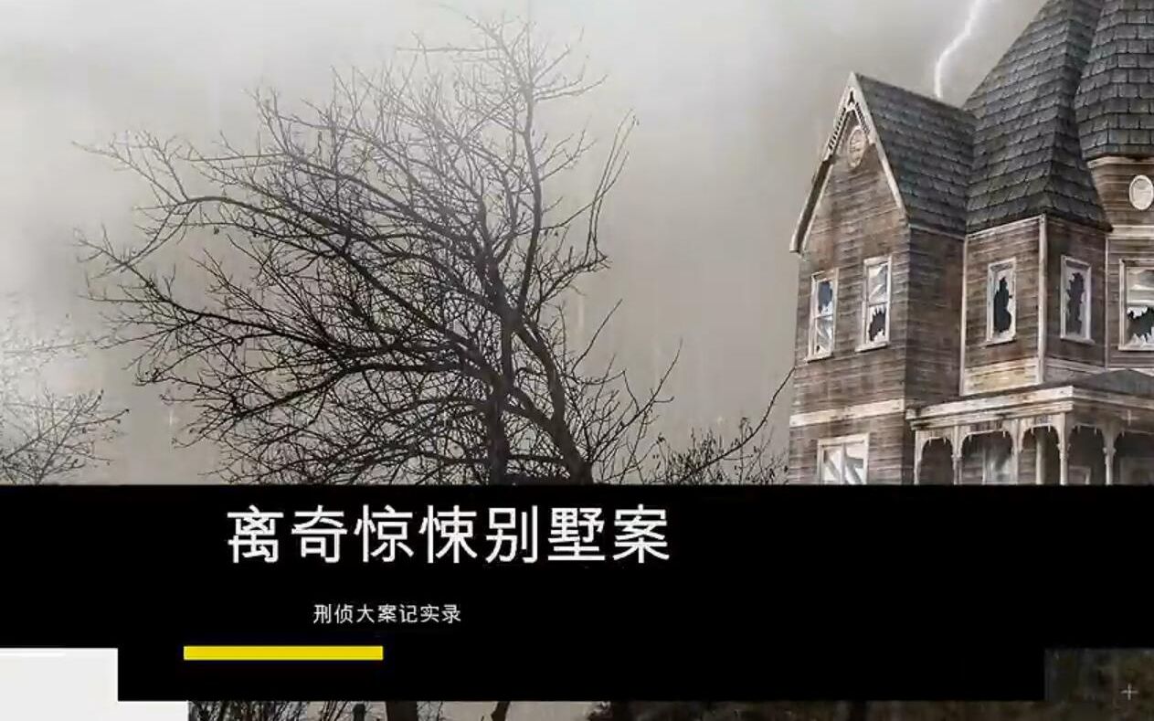 别墅凶案小说_百变大侦探别墅凶手事件神秘人_别墅疑案