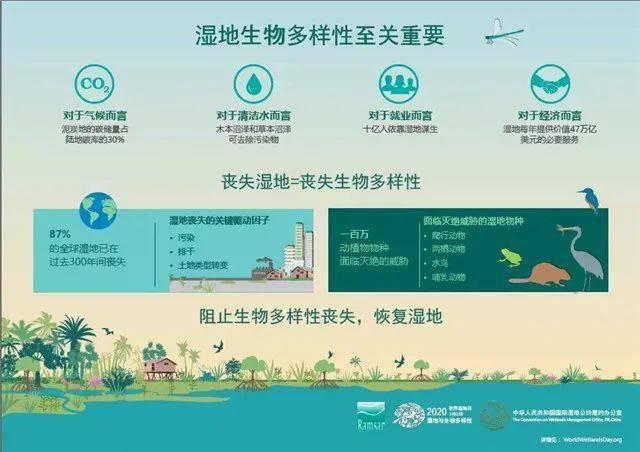 沼王进化_沼王_沼王种族值