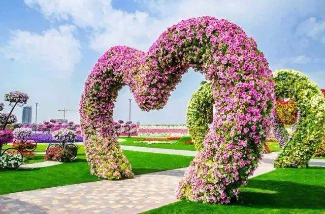 西尔芙英文_西尔芙_西尔芙