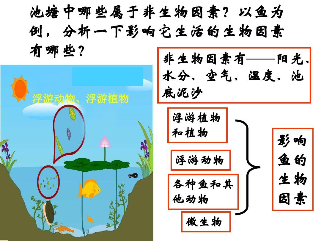 传奇小虾米_虾米传奇_虾米传奇正版