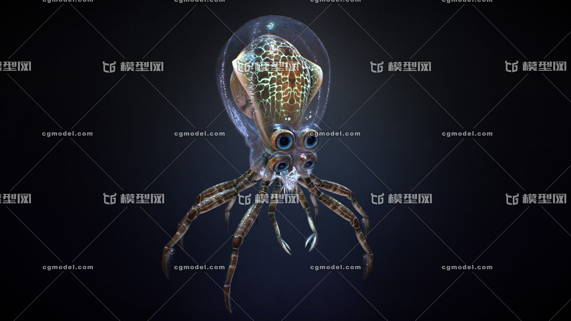 鱿鱼游戏手游安装中文版_鱿鱼游戏手游_手游鱿鱼游戏