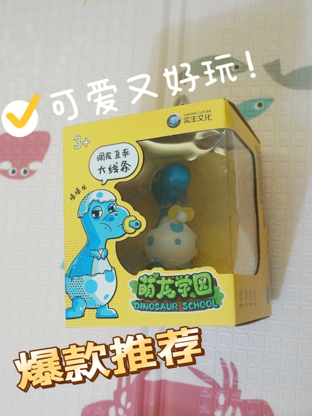 宠物龙_宠物龙猫多少钱一只_宠物龙猫