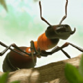 蚂蚁进化无敌版游戏官方版