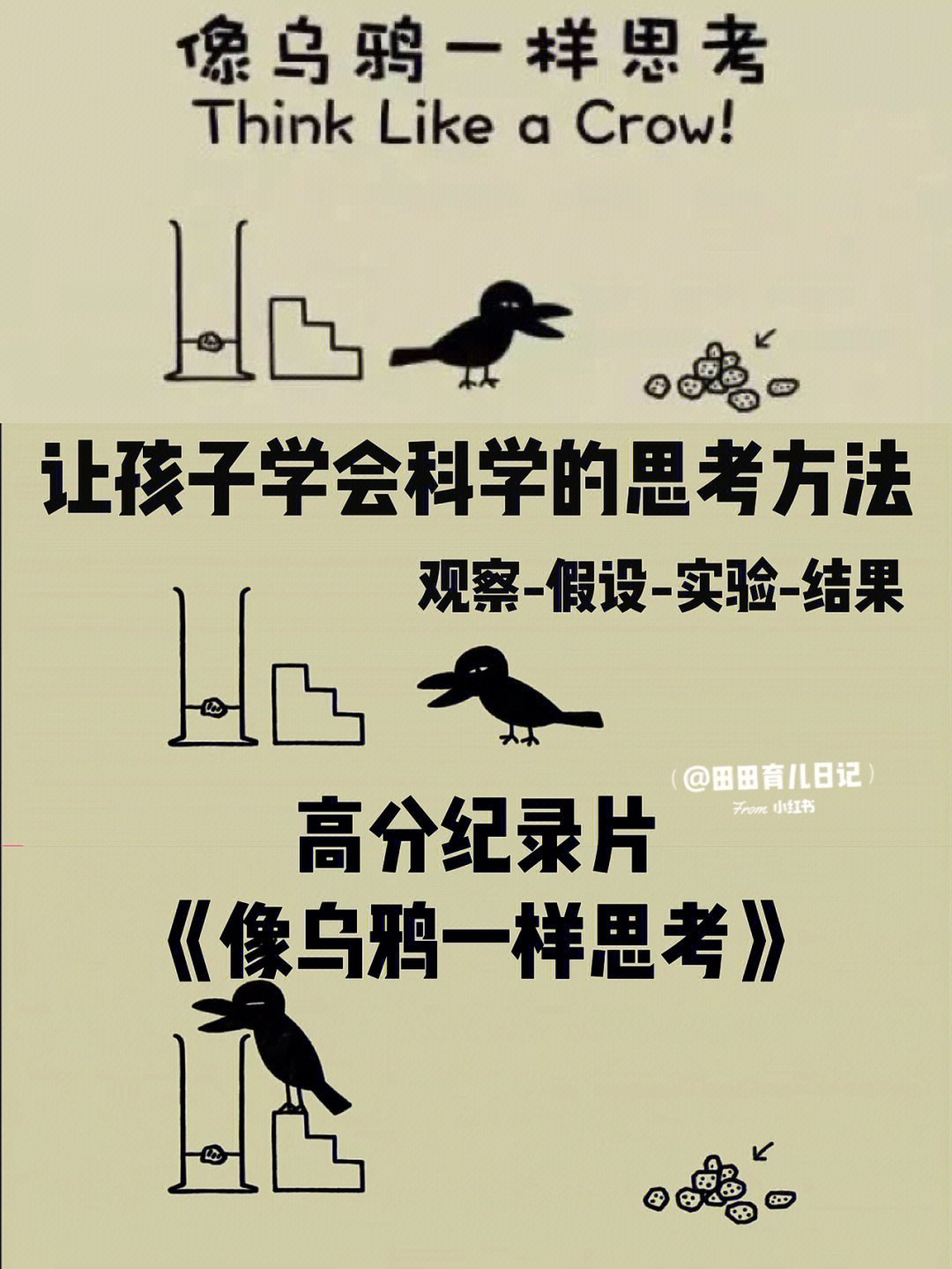 所有乌鸦都是全黑的正确吗_乌鸦黑是什么意思_乌鸦一般黑是指哪些生肖