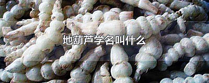 葫芦侠修改器下载：一键轻松改变程序文件属性与功能