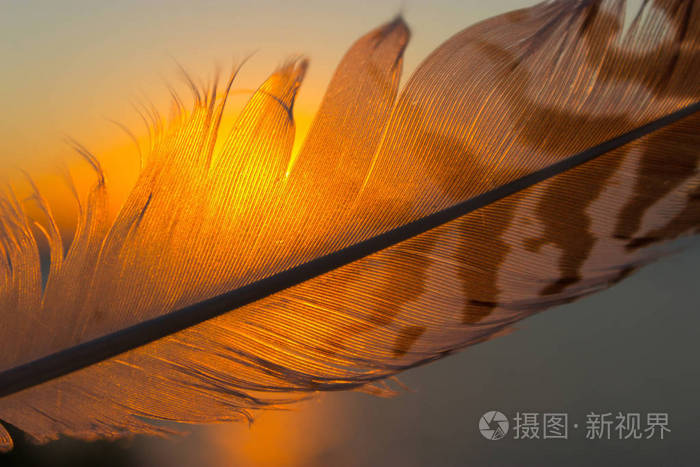 瑟拉芬_瑟拉芬_瑟拉芬