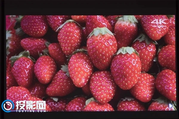 簧色视频观看百度视频_草莓视频下载观看_草莓视频免费观看100