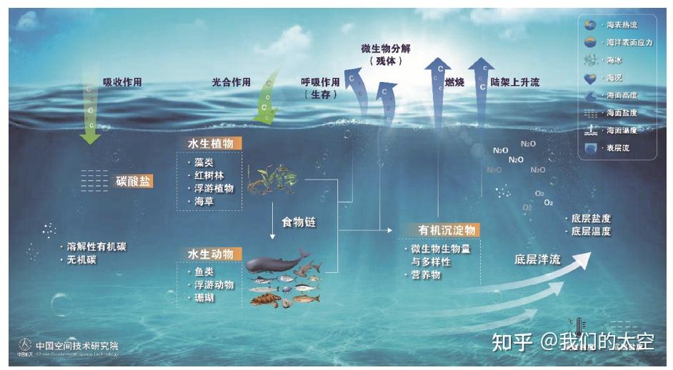 海底大猎杀正版下载_猎杀u42海底大战在线播放_海底猎杀平台