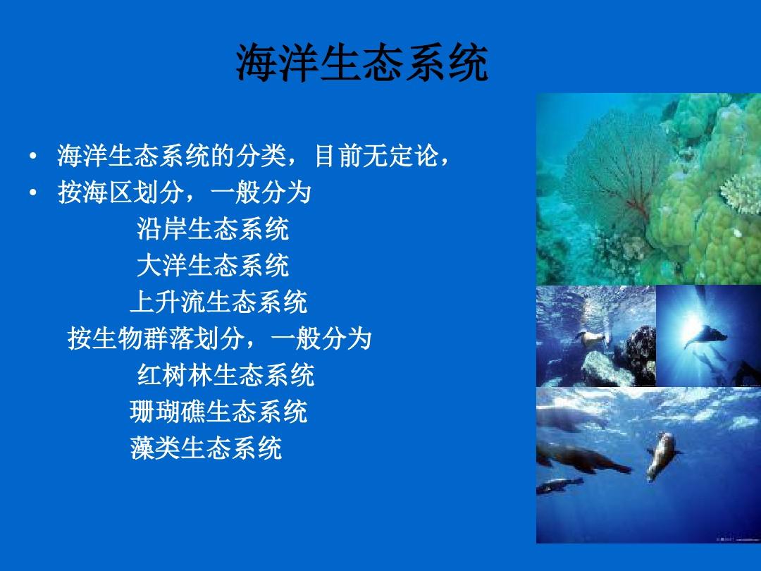 海底猎杀平台_海底大猎杀正版下载_猎杀u42海底大战在线播放