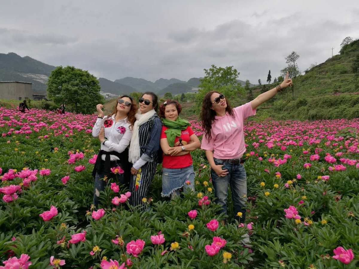 情花谷_情花谷_情花谷