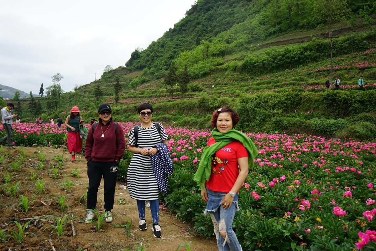 情花谷_情花谷_情花谷