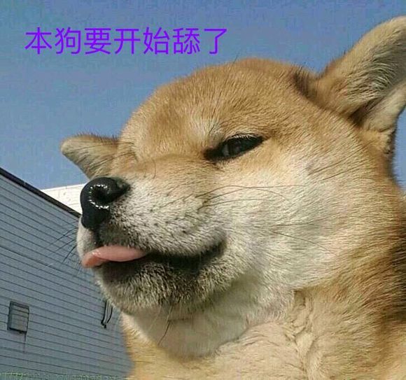 发舔狗表情包_舔狗表情包熊猫头_舔狗表情包