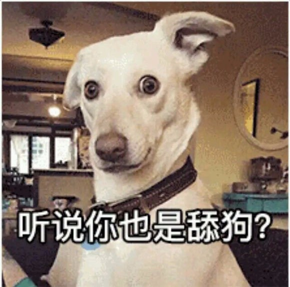 发舔狗表情包_舔狗表情包_舔狗表情包熊猫头