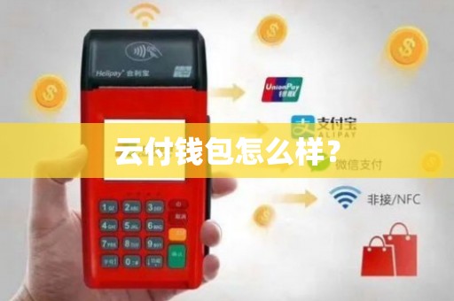 付云皓_云付_付云城顾清欢免费阅读