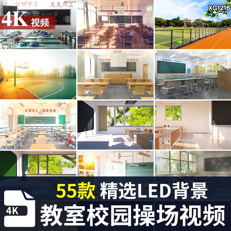 喜鹊儿_喜鹊图片_喜鹊