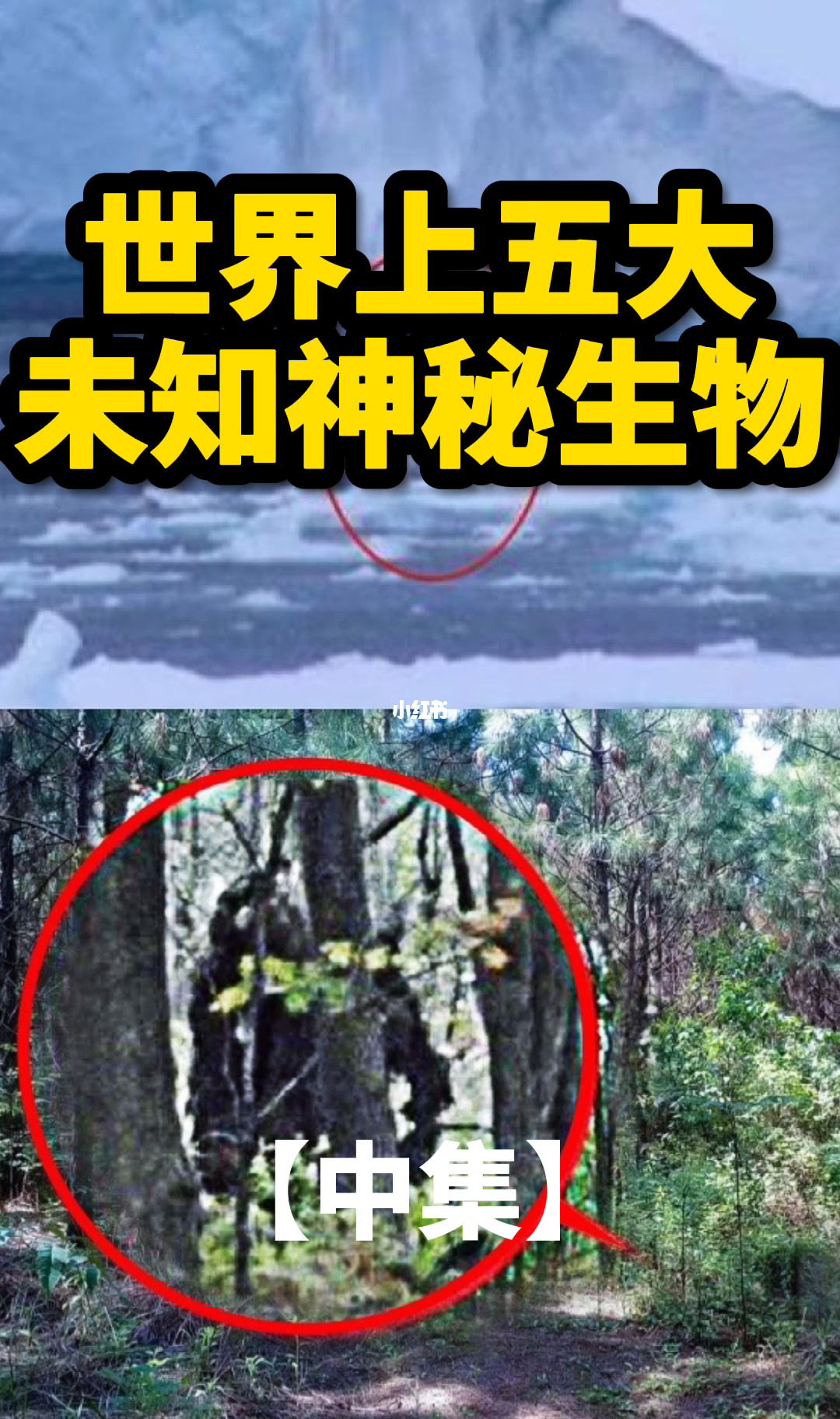 《山海经》异兽录破解版_山海经异兽录单机破解版_山海经异兽录破解版满v版