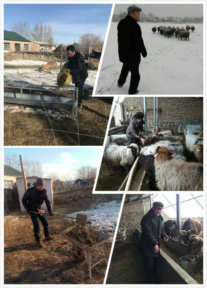 牛帮_淘牛帮1218_你牛什么牛牛什么牛表情图