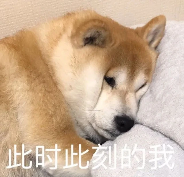 狗狗搞笑图片表情包_狗狗表情包图片搞笑_狗狗搞笑表情图片包下载