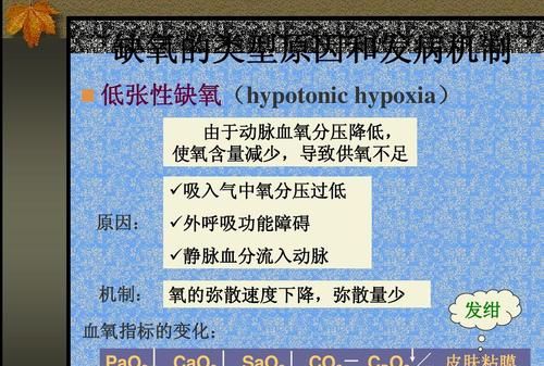 缺氧高压制氧_缺氧高压制氧气_缺氧高压制氧不稳定