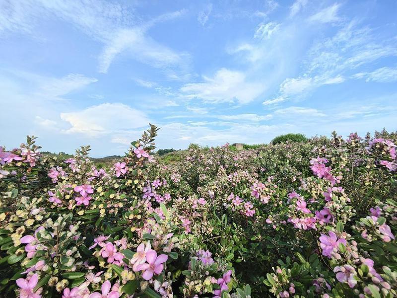 薰衣草实验室入口_熏衣草实验室_薰衣草实验室漫画