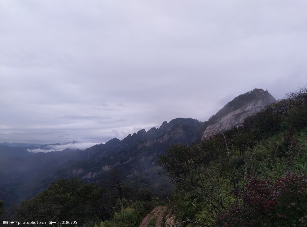 寂静岭图片_寂静岭图片_寂静岭图片