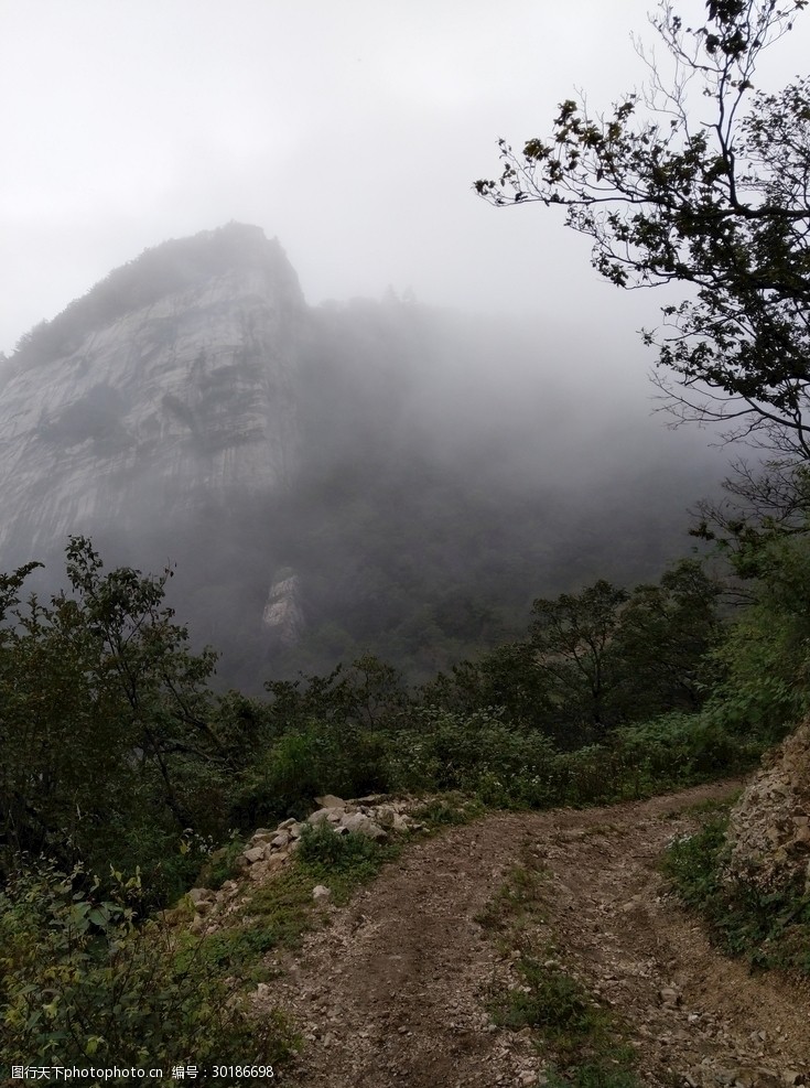 寂静岭图片_寂静岭图片_寂静岭图片