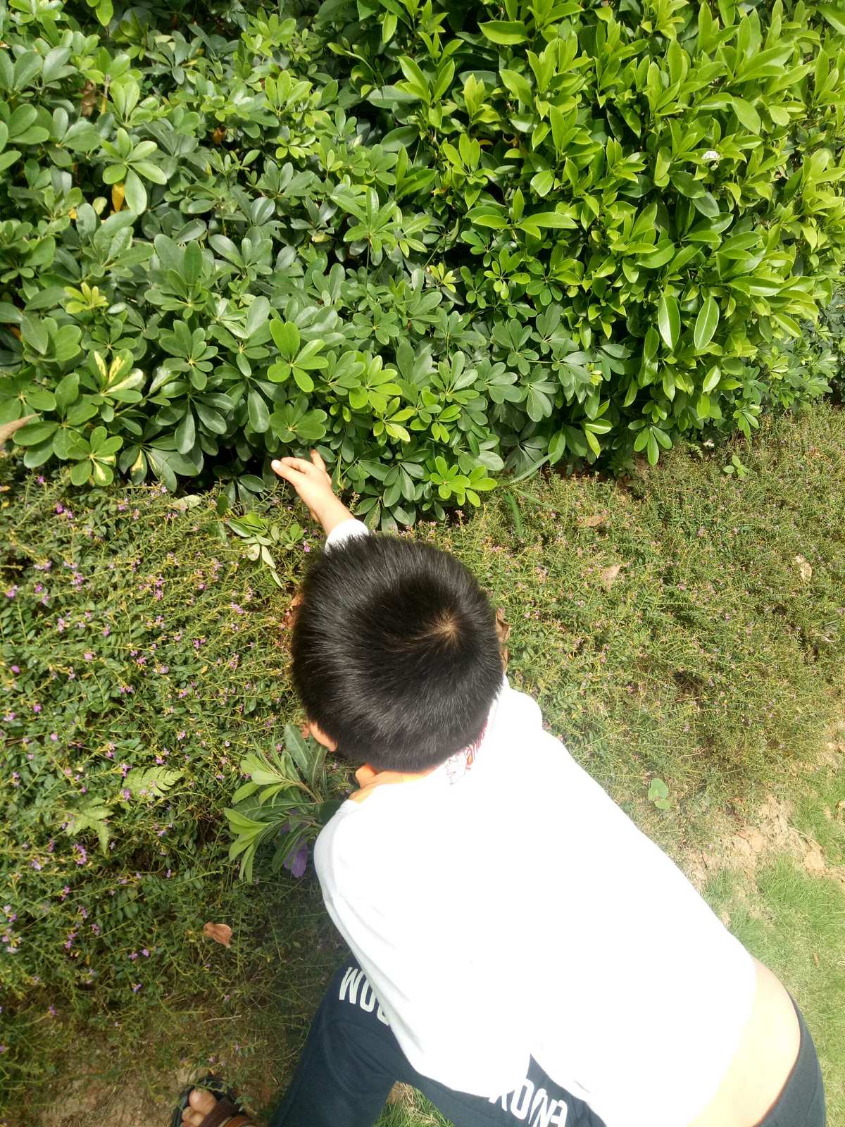 岗本下载_本木造型(镇岗塔路)怎么样_岗本