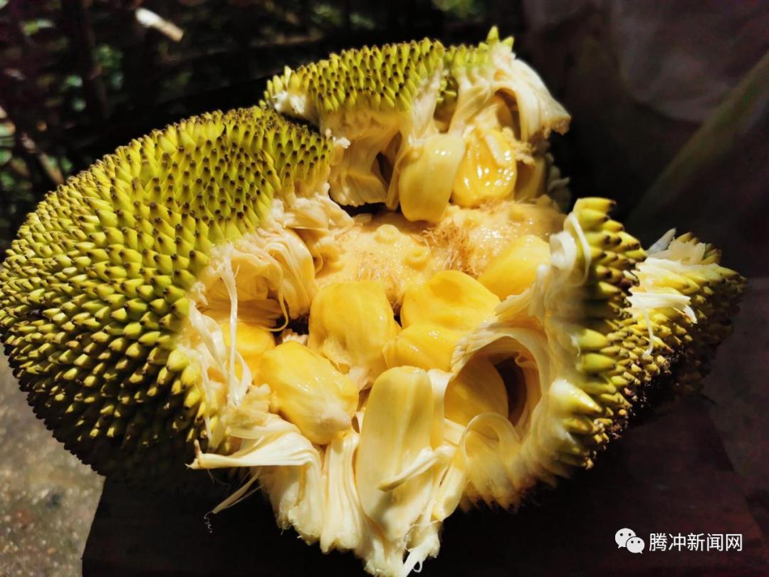 观看视频蜜菠萝在线播放_菠萝蜜视频在线观看播放观看6_观看视频蜜菠萝在线播放免费